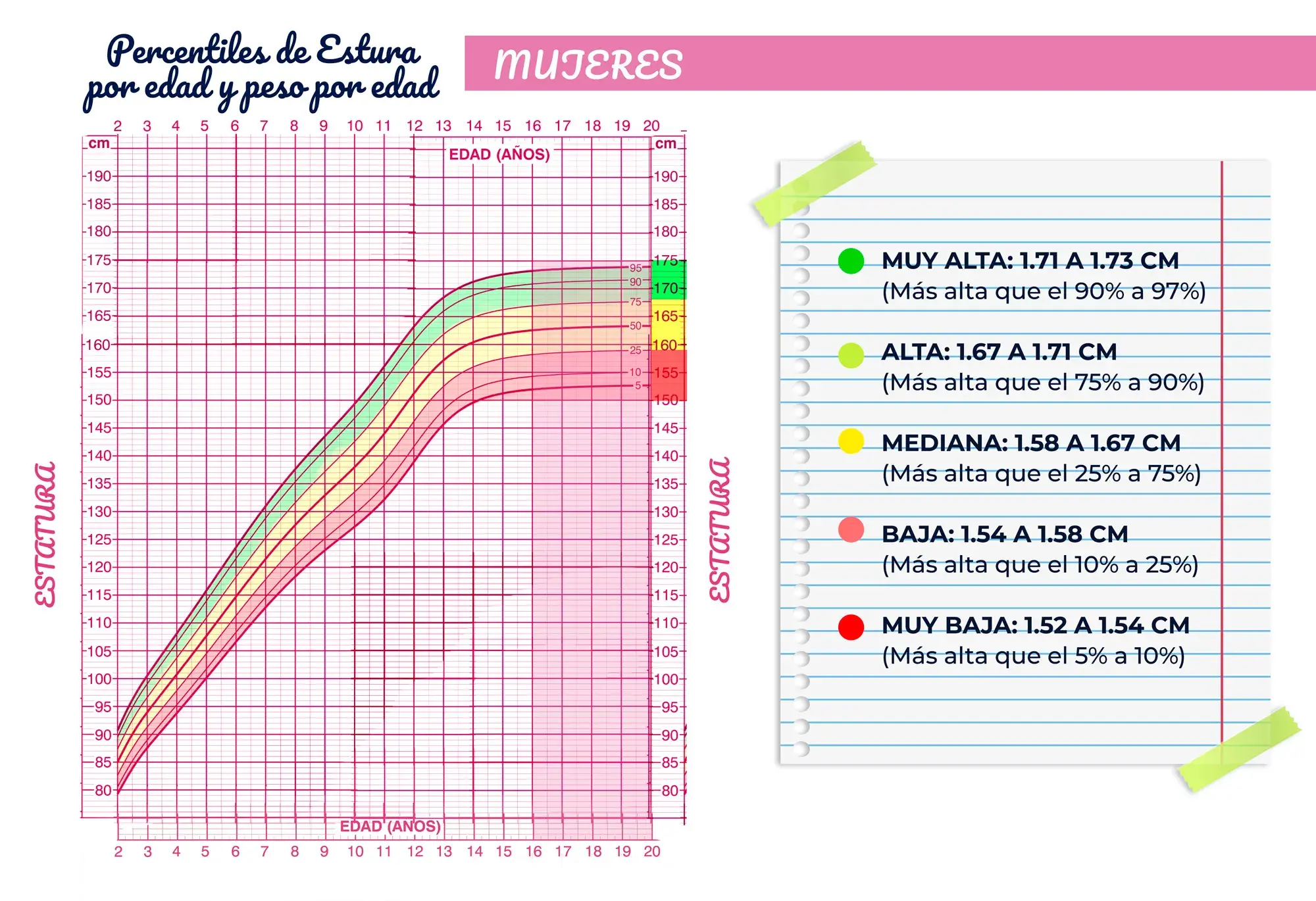 Estatura Promedio De Una Niña De 10 Años